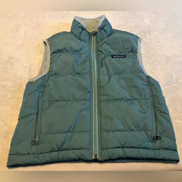 Patagonia Other - Patagonia Puffer Vest
